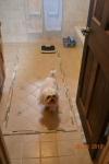 Bathroom Floor Designs  0